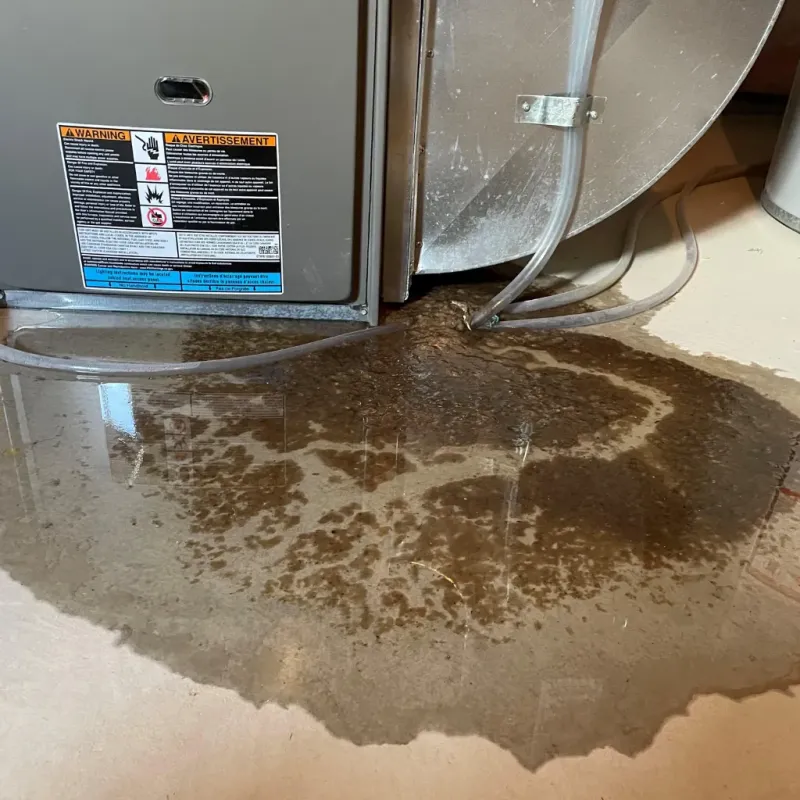 Appliance Leak Cleanup in Butler, AL